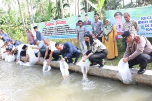 Bupati Tapsel Bersama Masyarakat Muara Purba Nauli dan Sori Manaon Lakukan Tebar Benih Ikan Nila